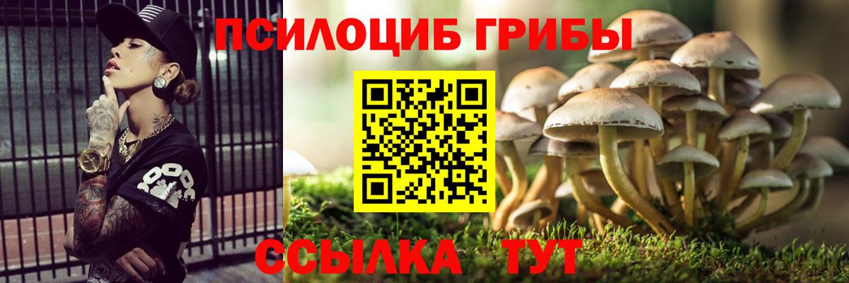 Псилоцибиновые грибы мухоморы Унеча