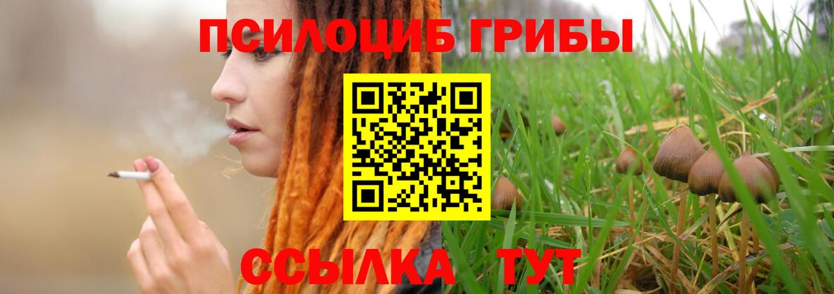 Унеча  Псилоцибиновые грибы GOLDEN TEACHER  продажа наркотиков  Вход с VPN  Псилоцибиновые грибы мицелий 